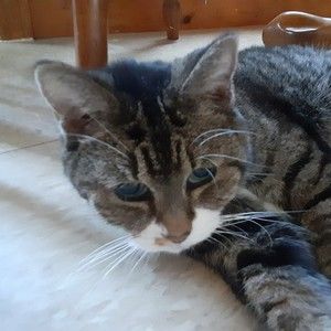 Meet your Posher, Angela